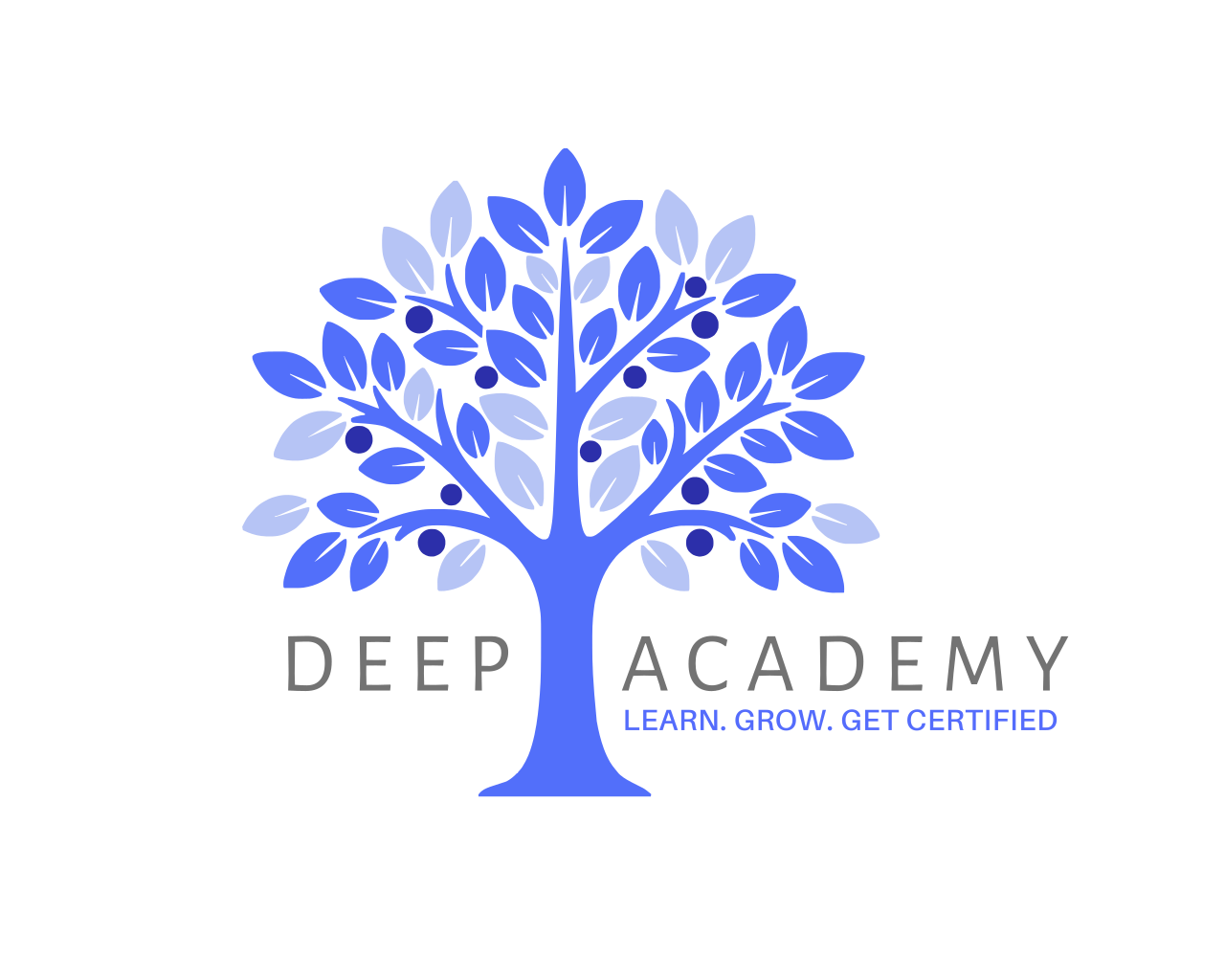 Deep Academy